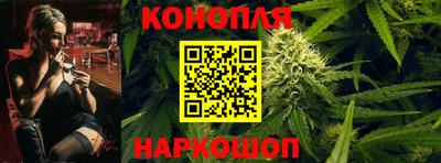 стаф Дубна