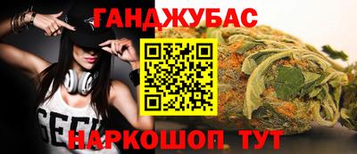 стаф Дубна