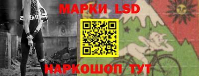 стаф Дубна