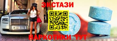 стаф Дубна