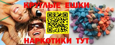 стаф Дубна