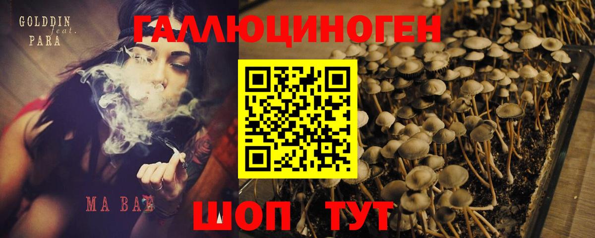 Псилоцибиновые грибы Cubensis Нефтекамск
